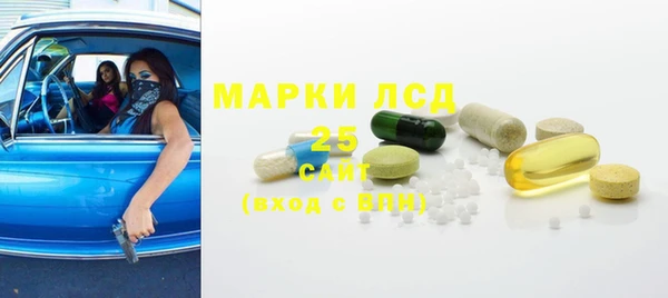 PSILOCYBIN Липки