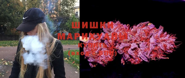 PSILOCYBIN Липки